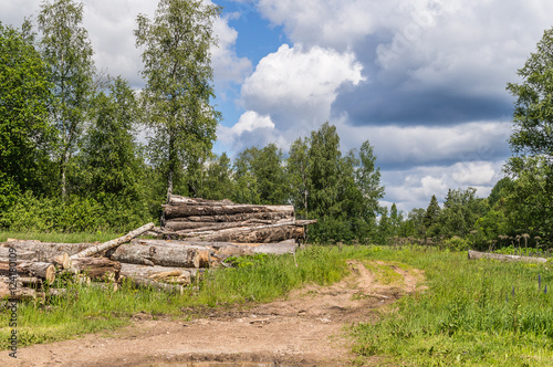 rural summer landscape with firewood  log.