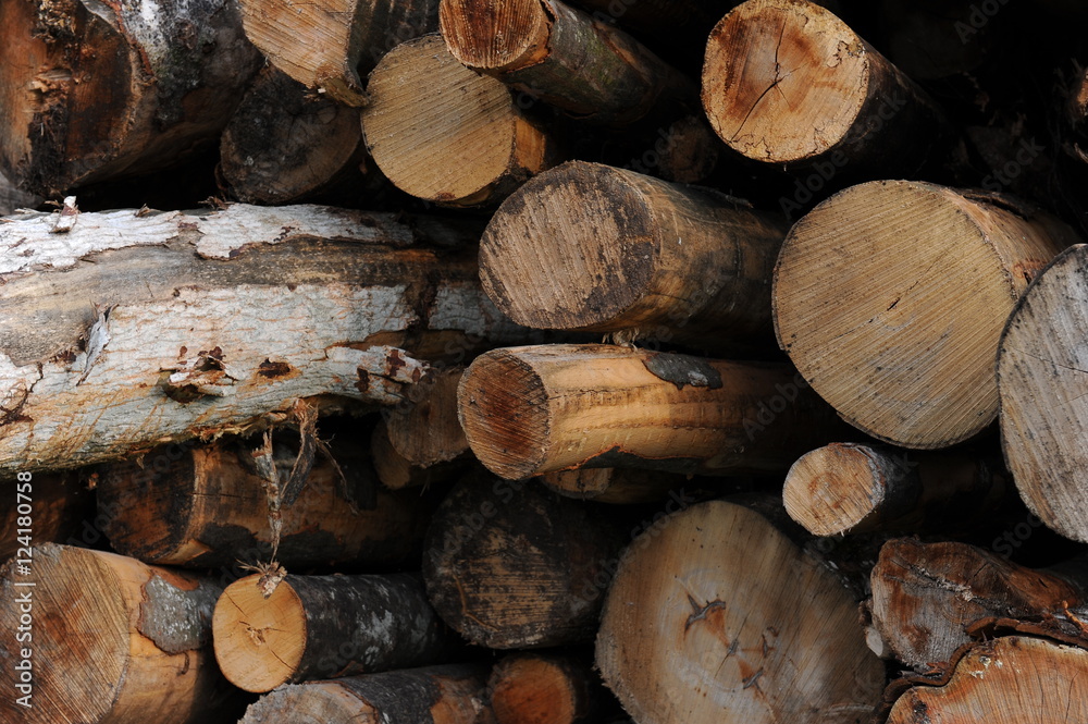 Stock of cutted logs