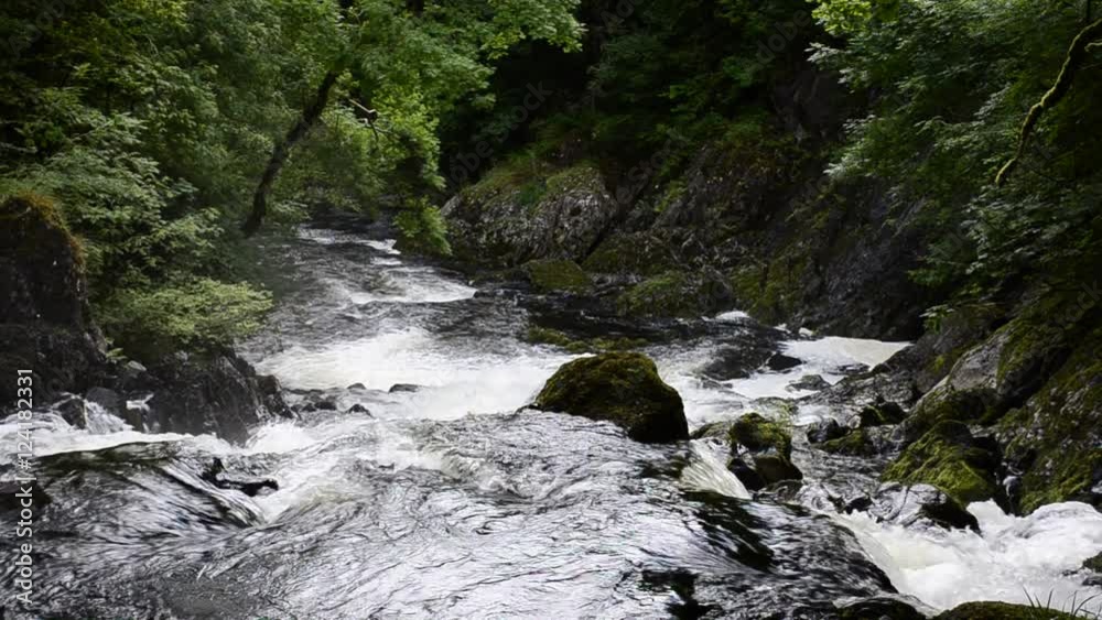 Flowing water over a rock into rapids looking over the river surrounded by summer trees and leaves, moss and rocks. Flowing water over a rock into rapids looking over the river surrounded by summer trees and leaves, moss and rocks.