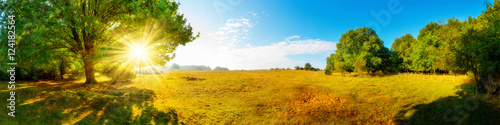 Schilderij op canvas Landschaft im Herbst, Panorama einer vom Wald umgebenen Wiese mit Sonne