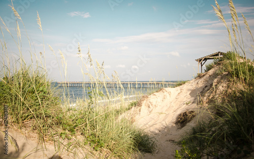 widok na morze oraz dziką plażę © Violoo