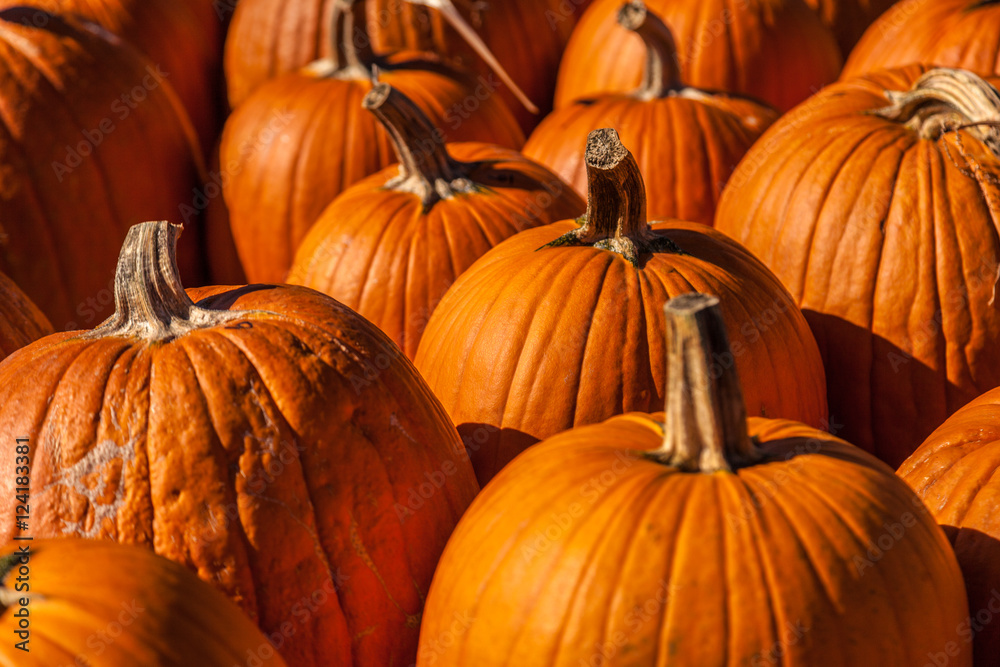 Pumpkins Pumpkins