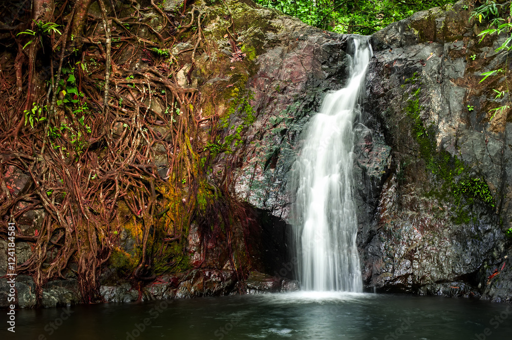 Obraz premium Tropical rain forest landscape with jungle plants and flowing water of small waterfall. Vang Vieng, Laos