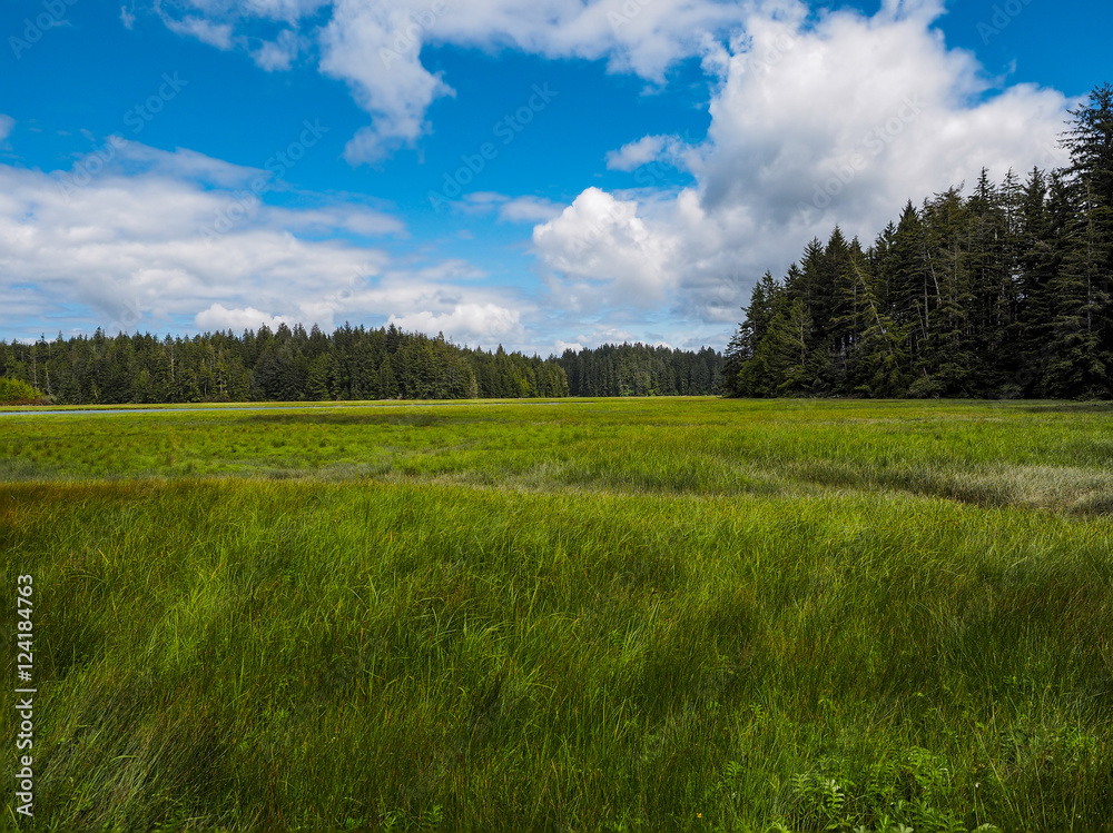 Obraz premium OLYMPUS DIGITAL CAMERA