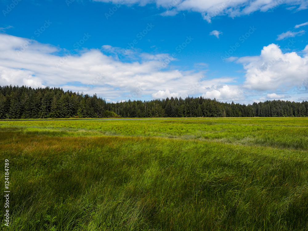 Obraz premium OLYMPUS DIGITAL CAMERA