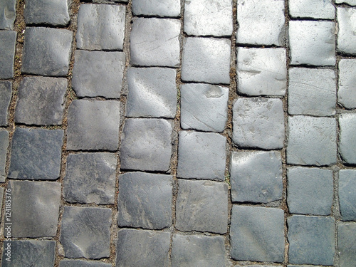 Sampietrini (also Sanpietrini) is the typical kind of pavement found in the many cities in italy(Rome, milan, genoa, naples etc). 