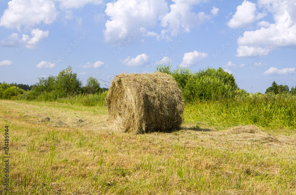 Bale of hay. agriculture farm and farming symbol  harvest time with dried grass straw as a bundled tied haystack