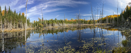 Beaver Pond in Autumn - Ontario, Canada