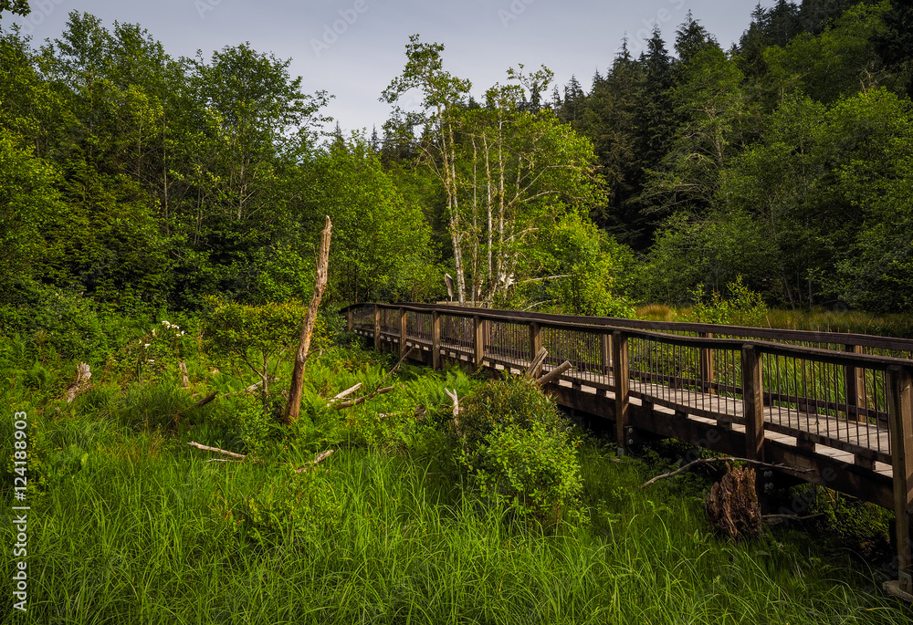 Wilderness Bridge 