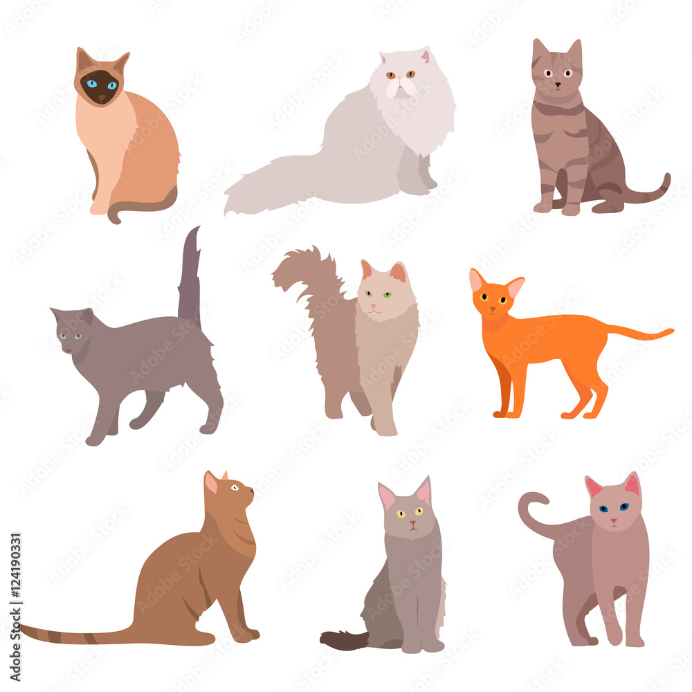 Cat big set. Beautiful cartoon cats isolated on white. Vector 