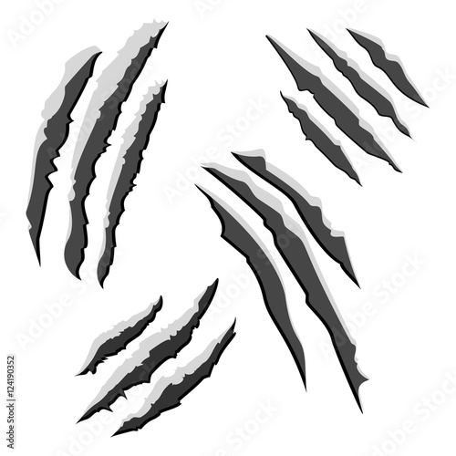 Set of black claw scratches isolated on white background. Vector illustration