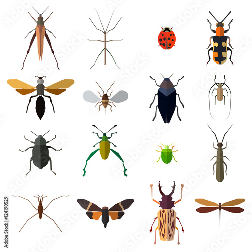 Insect icons set isolated on white. Vector illustration © whilerests