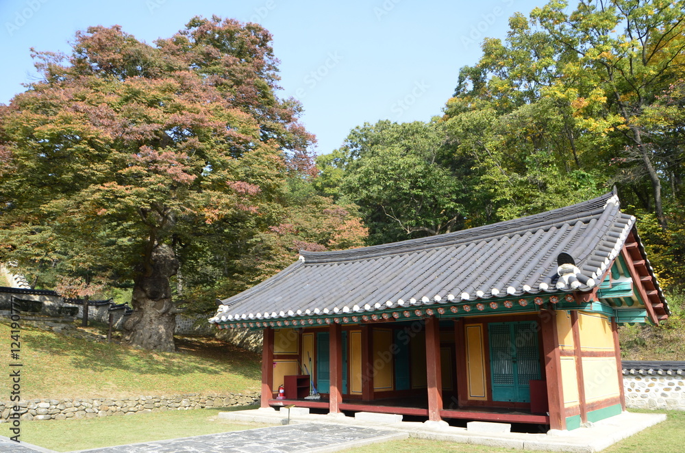 시골 풍경 시골 풍경