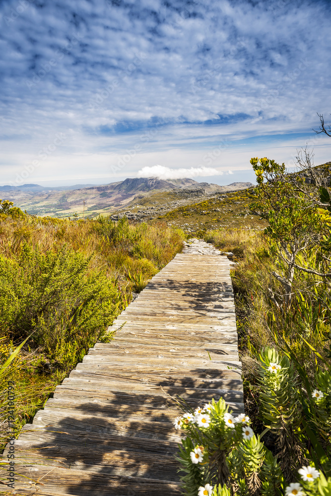 Walking Track on Cape Town's Table Mountain