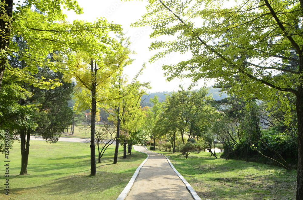Fototapeta premium 시골 풍경