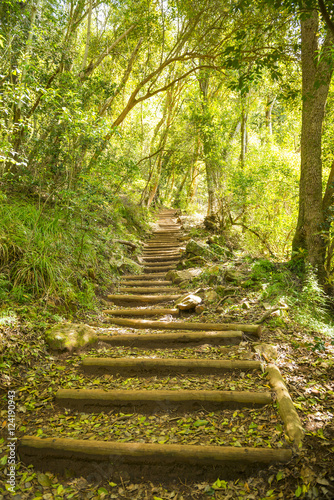 Walking Trail Stairway on Table Mountain