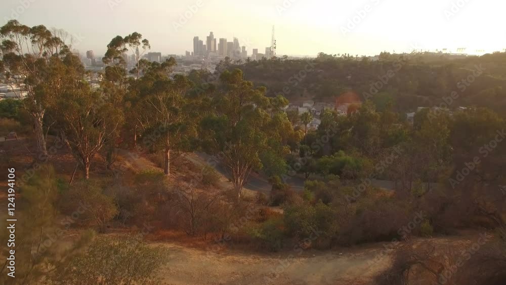 Los Angeles Downtown Sunset Aerial 02 Palm Trees Los Angeles Downtown Sunset Aerial 02 Palm Trees