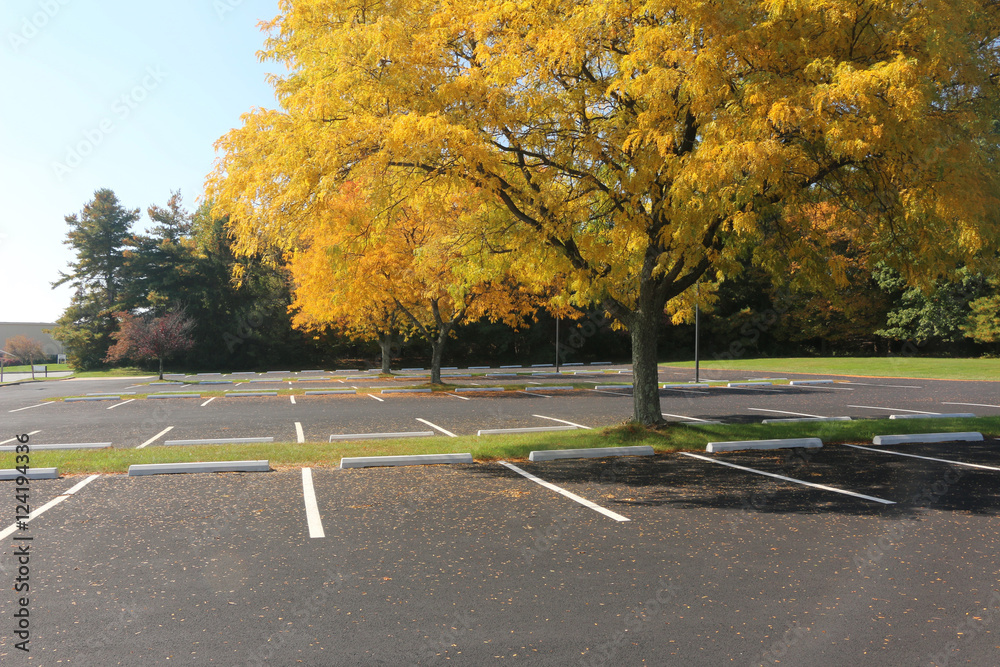 Obraz premium autumn empty parking lot