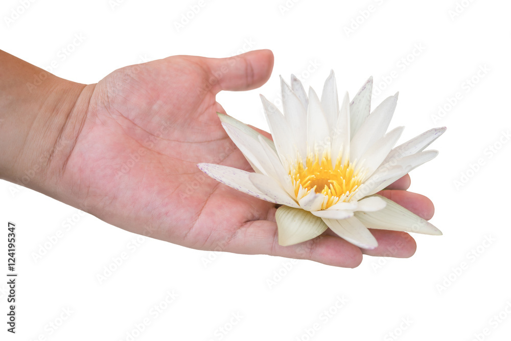 Young man holding white lotus in his palm with clipping path Young man holding white lotus in his palm with clipping path
