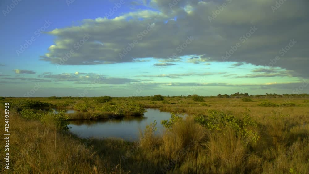 Wide shot of grassy landscape against cloudy sky Wide shot of grassy landscape against cloudy sky