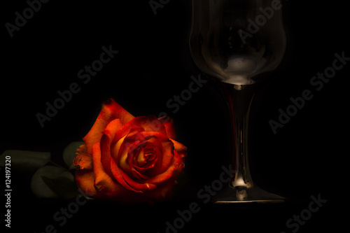 roses on a black background
