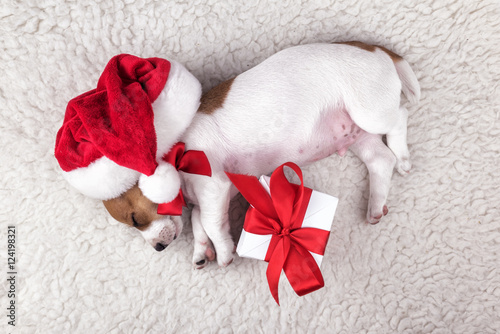 Fototapeta Naklejka Na Ścianę i Meble -  jack