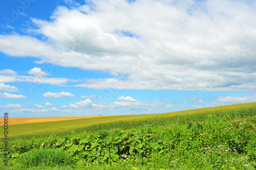 Landscape of Cultivated Lands at Countryside