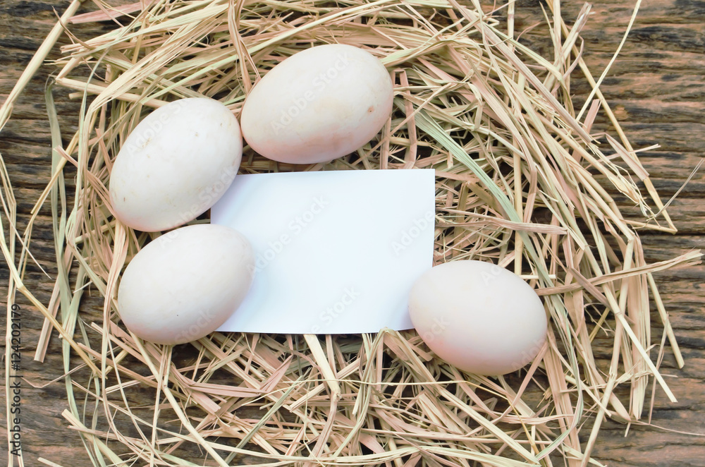 eggs on eggs background