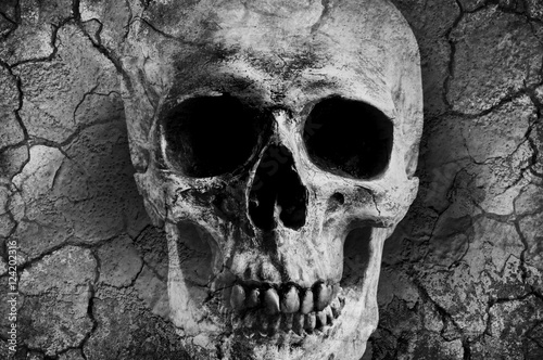 human skull mixed with grunge texture, dried and crack soil image in monochrome color tone for halloween background