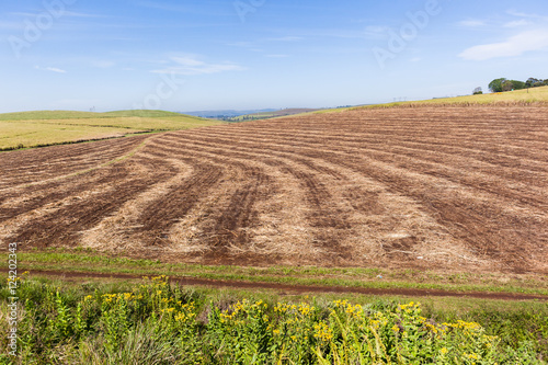 Farm Harvested Landscape