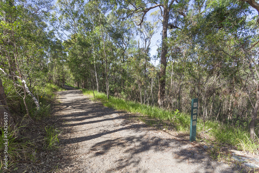 Deserted forest road Deserted forest road