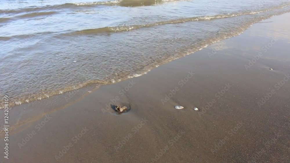 Low tide seascape, small waves break on the beach. Low tide seascape, small waves break on the beach.