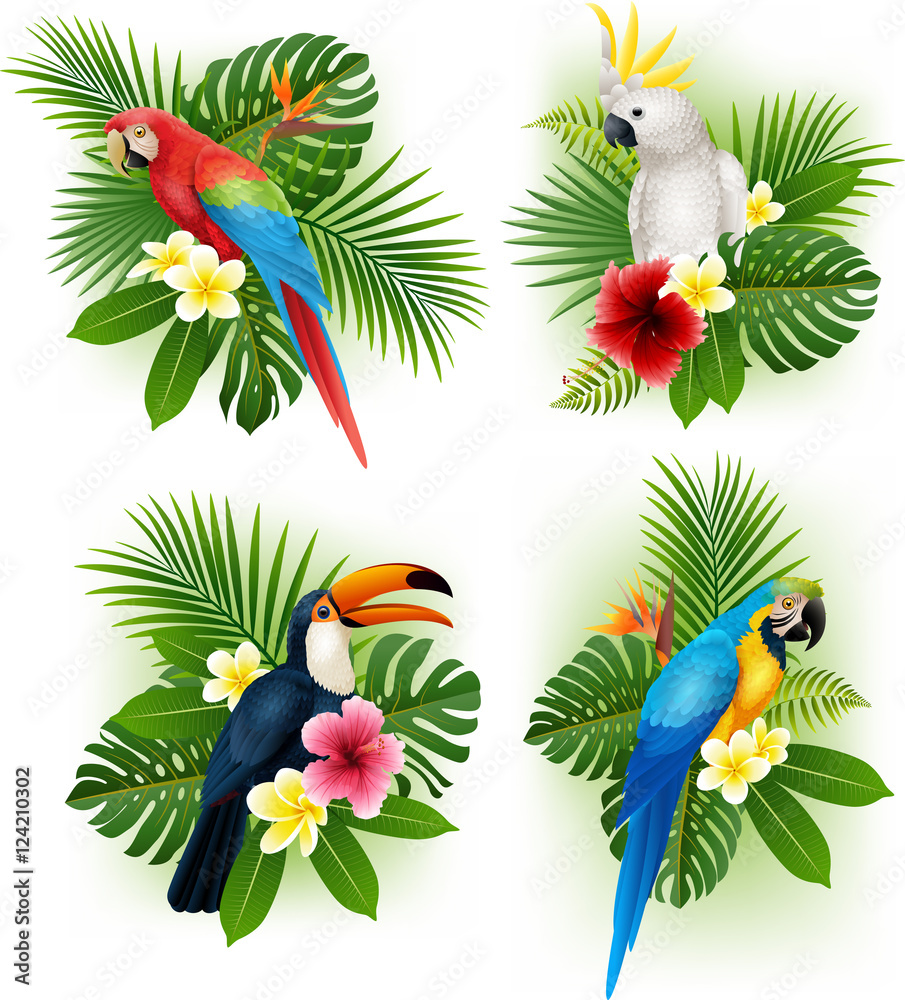 Naklejka premium Zestaw kolekcja tropikalnych kwiatów i ptaków