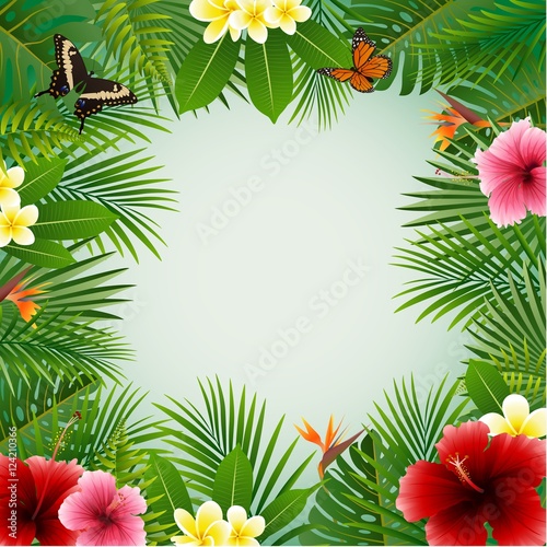 Tropical plants background