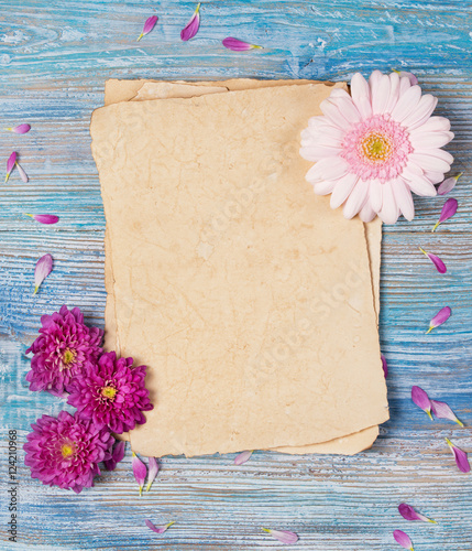 Greeting card with old blank paper sheet, Chrysanthemum and pink Gerbera daisy flowers on blue wooden background photo