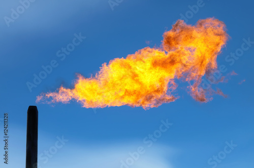 Fototapeta Gas flaring. Combustion of associated gas at oil production.