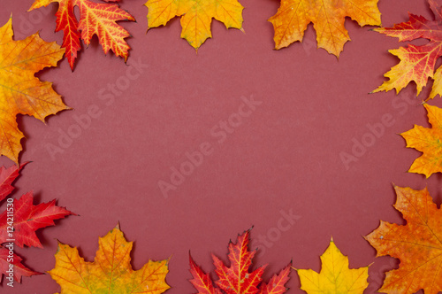 Claret background surrounded by autumn colorful fallen maple lea