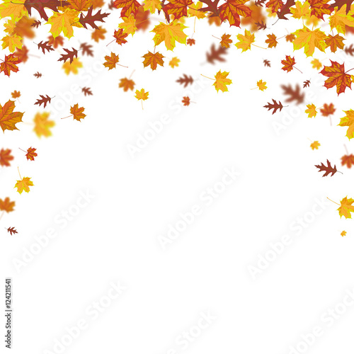Autumn Foliage Fall Cover