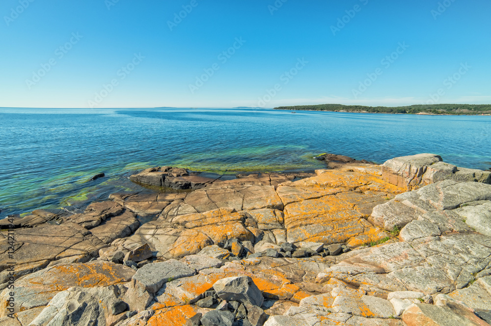Swedish summer sea coast landscape