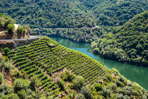 Vineyards along Sil River, Ribeira Sacra, Lugo (Spain)
