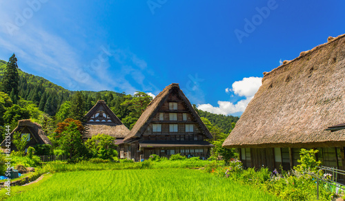 Historical Japanese village Shirakawago in spring