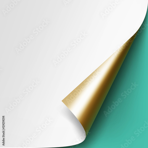 Vector Curled Golden corner of White paper with shadow Mock up Close up on Light Green Mint Background