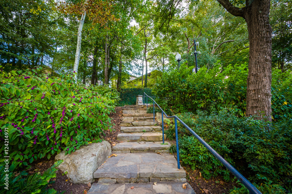Garden and stairs at the Falls Park on the Reedy, in Greenville,