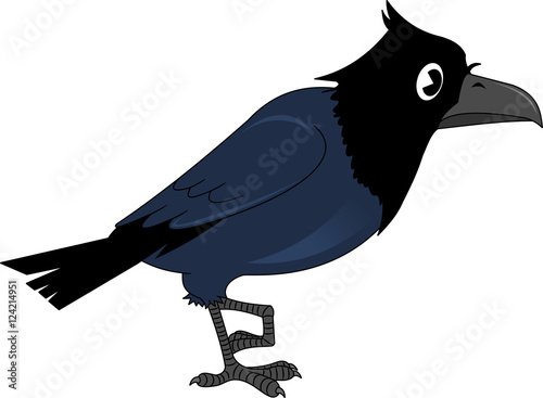 crow