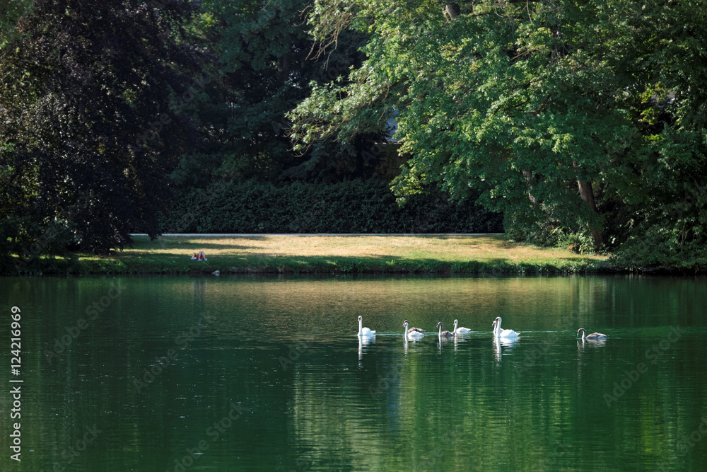 Étang aux carpes du château de Fontainebleau