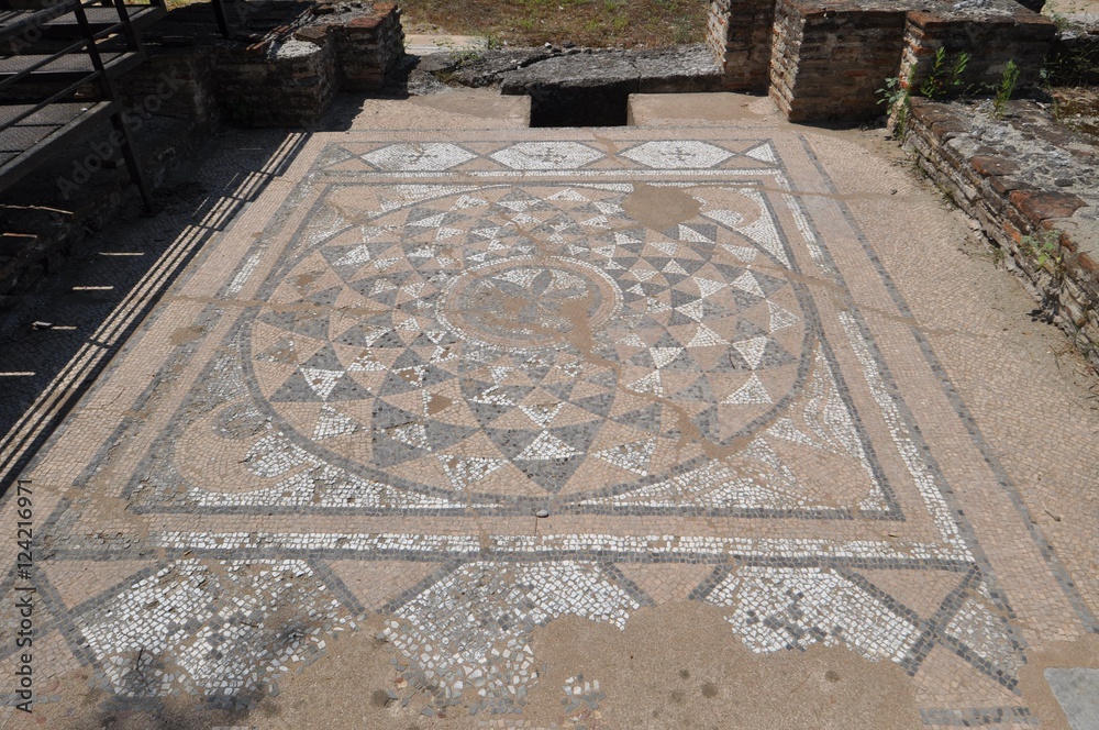 Ancient Dion - a mosaic