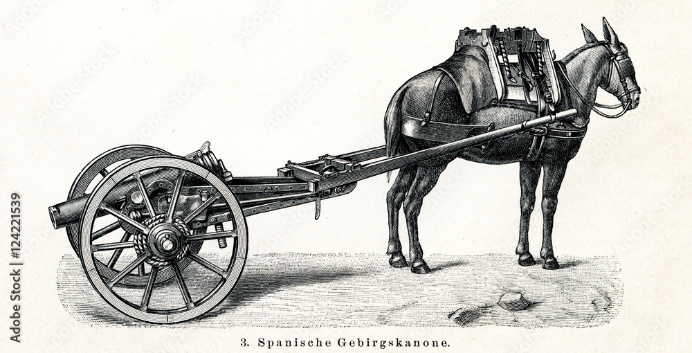 Spanish mountain gun transported by mule (from Meyers Lexikon, 1895, 7 ...