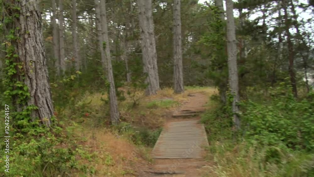 POV walk over small bridge and wooded trail, POV. POV walk over small bridge and wooded trail, POV.