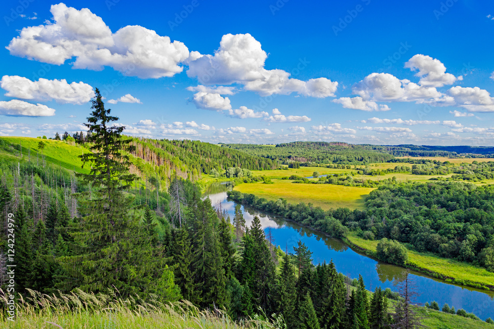 river and forest landscape