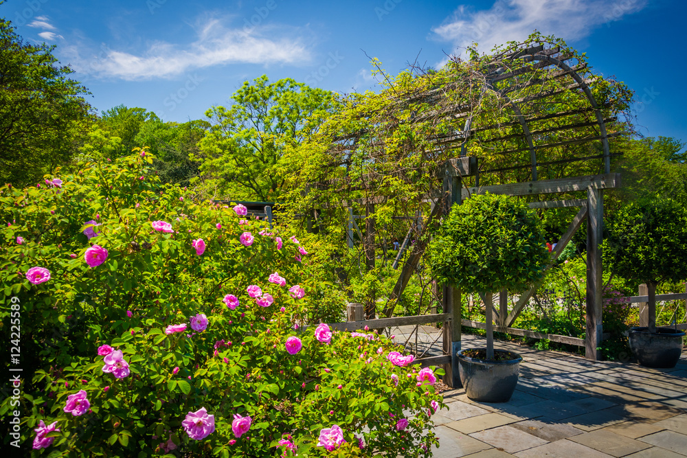 Fototapeta premium Gardens at the National Arboretum in Washington, DC.